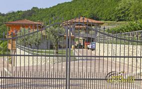 Ciclamino