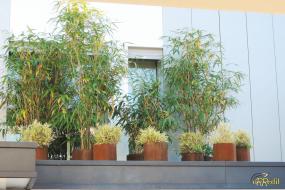 Vasi_in_acciaio_CorTen